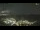 Webcam in Cervera, 97.3 km