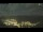 Webcam in Cervera, 65.4 km