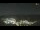 Webcam in Cervera, 70.6 km