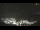 Webcam in Cervera, 63.3 km