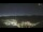 Webcam in Cervera, 25.4 km