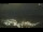 Webcam in Cervera, 25.2 mi away