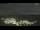Webcam in Cervera, 5.8 km