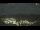 Webcam in Cervera, 37.5 mi away