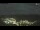 Webcam in Cervera, 97.3 km