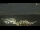 Webcam in Cervera, 65.4 km entfernt