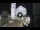 Webcam in Spoleto, 14.9 mi away