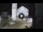 Webcam in Spoleto, 7.8 mi away