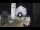 Webcam in Spoleto, 7.8 mi away