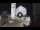 Webcam in Spoleto, 19.6 mi away