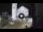 Webcam in Spoleto, 19.5 mi away
