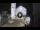 Webcam in Spoleto, 15.5 mi away