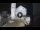 Webcam in Spoleto, 19.5 mi away