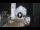 Webcam in Spoleto, 19.5 mi away