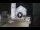 Webcam in Spoleto, 19.5 mi away