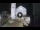 Webcam in Spoleto, 19.5 mi away