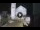 Webcam in Spoleto, 19.5 mi away