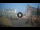 Webcam in Florence, 0.8 mi away