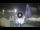 Webcam in Florence, 0.3 mi away