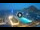 Webcam in Cabo San Lucas, 0.2 mi away