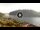 Webcam in Monte Isola (Lake Iseo), 7.7 mi away