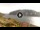 Webcam in Monte Isola (Lake Iseo), 3.9 mi away