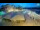 Webcam in Rab, 8.8 km