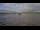 Webcam in Arjuzanx, 44.7 km entfernt