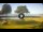 Webcam in Pedas, 185.2 km