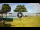 Webcam in Pedas, 697.6 km