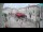 Webcam in Krk, 6 mi away