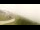 Webcam in Zambana, 4.5 mi away
