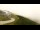 Webcam in Zambana, 4.5 mi away