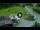 Webcam in Piazzatorre, 0.5 mi away