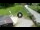 Webcam in Piazzatorre, 6.5 mi away