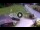 Webcam in Piazzatorre, 25.3 km entfernt