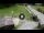 Webcam in Piazzatorre, 24.7 km