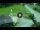 Webcam in Piazzatorre, 12.9 km