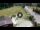 Webcam in Piazzatorre, 1.3 mi away