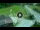 Webcam in Piazzatorre, 5.6 mi away