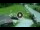 Webcam in Piazzatorre, 1.3 km