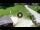 Webcam in Piazzatorre, 3.4 km