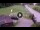 Webcam in Piazzatorre, 25.3 km entfernt