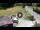 Webcam in Piazzatorre, 1.3 km