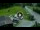 Webcam in Piazzatorre, 15 km