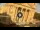 Webcam in Floriana, 0.1 mi away
