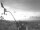 Webcam in Grand Fond, 385.3 km entfernt