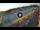 Webcam in Floriana, 0.6 km