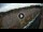 Webcam in Floriana, 0.6 mi away