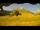 Webcam in Prati di Tivo, 10.6 mi away